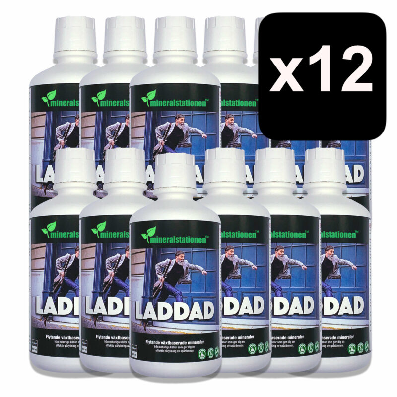 Laddad 12-pack