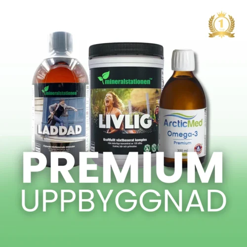 Premium Uppbyggnad Mineralstationen