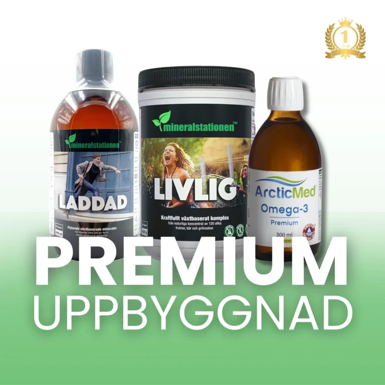 Premium Uppbyggnad Mineralstationen