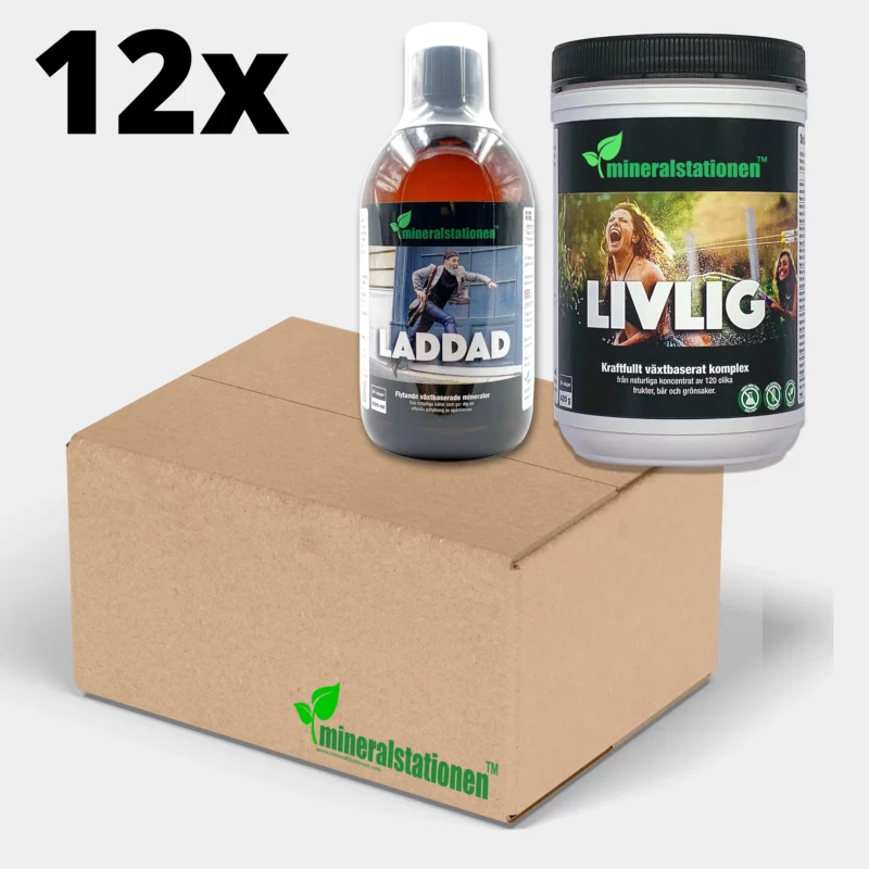 12-pack Loaded & Lively