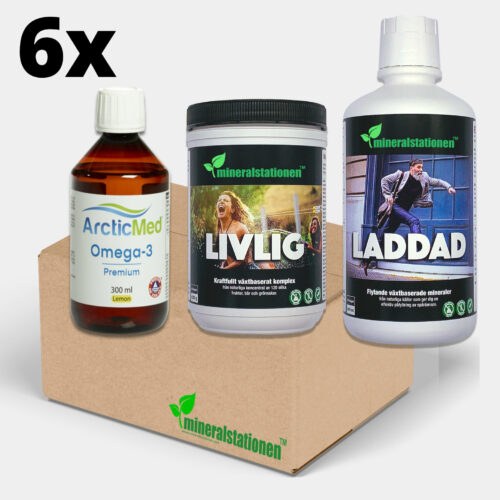 6-pack Loaded, Lively & ArcticMed