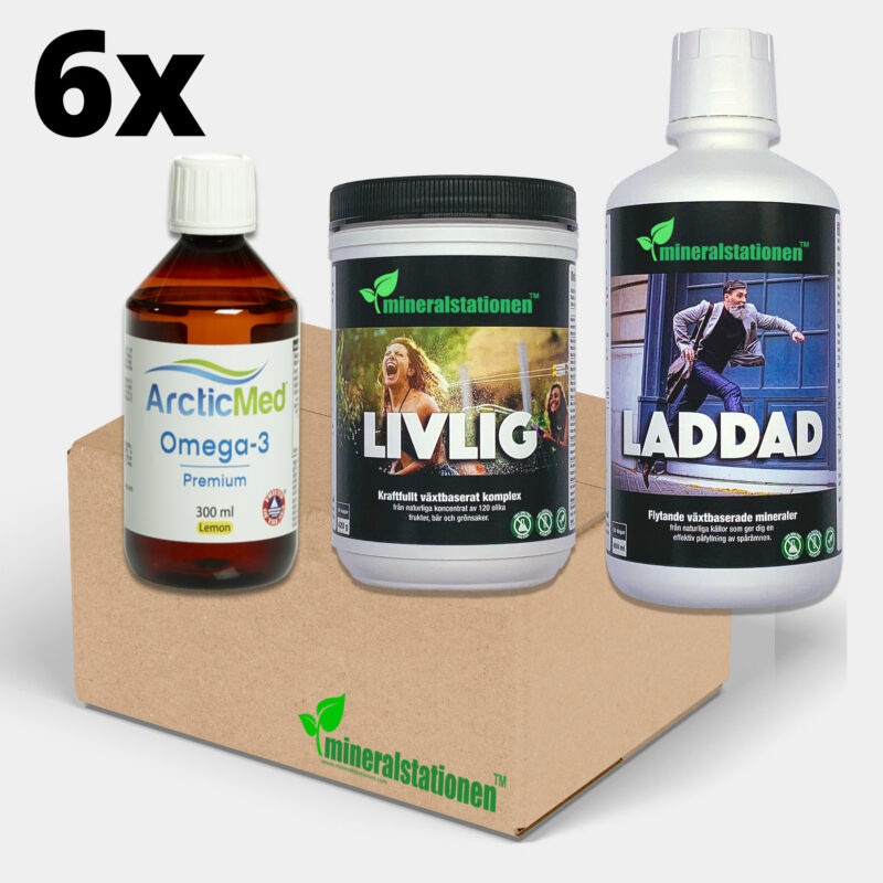 6-pack Laddad, Livlig & ArcticMed