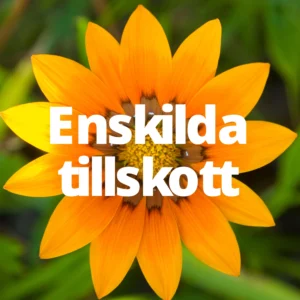 Kategori Enskilda Tillskott Mineralstationen