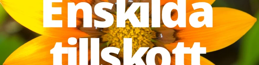 Kategori Enskilda Tillskott Mineralstationen