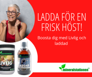 Ladda för en frisk höst med Livlig och Laddad