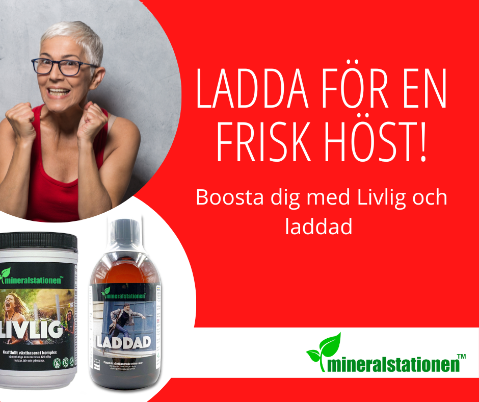 Ladda för en frisk höst med Livlig och Laddad