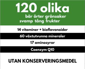Mineralstationen innehåll 120 olika ingrediensernas, 17 aminosyror, 14 vitaminer, 60 växtutvunna mineraler, bioflavonoider, coenzyn Q10