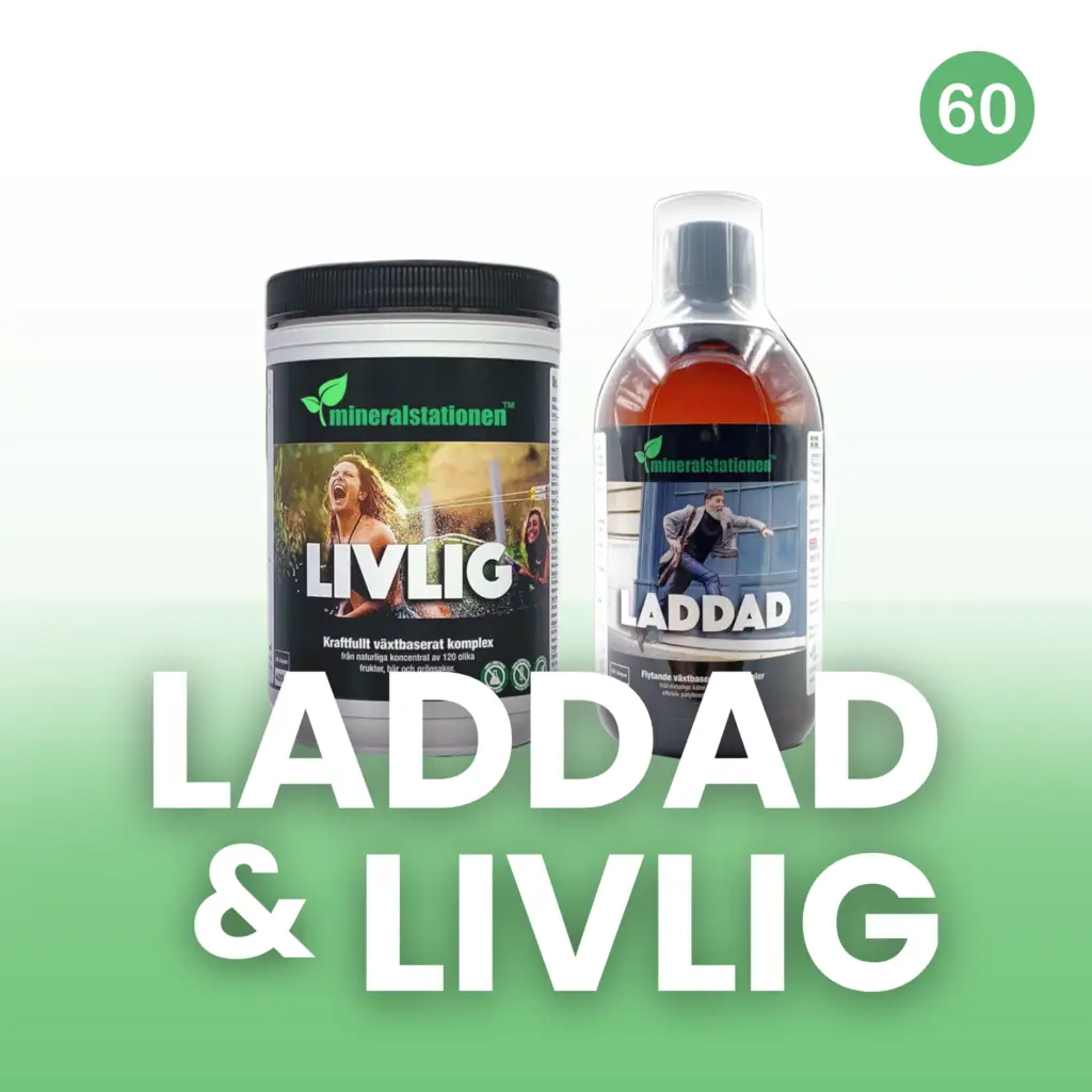Laddad & Livlig