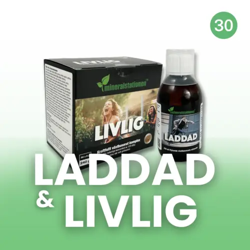 Laddad och Livlig, 30 portioner - abonnemang