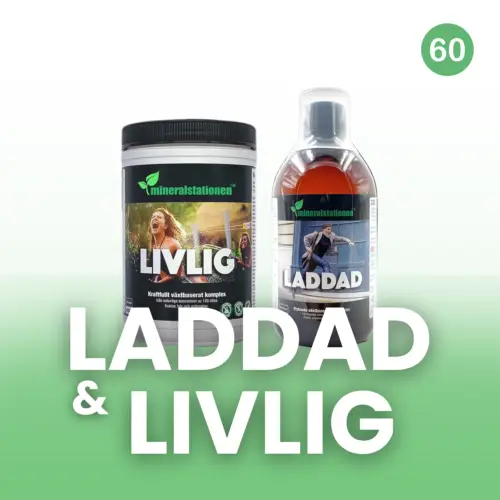 Mineralstationen Livlig och Laddad
