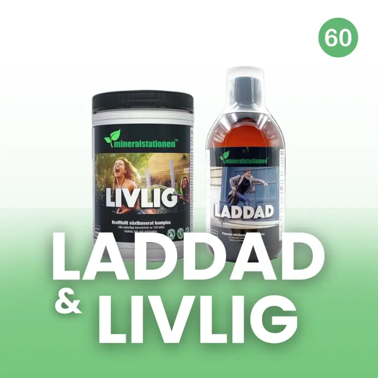 Mineralstationen Livlig och Laddad